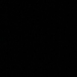 Meet your Posher, Sidnie